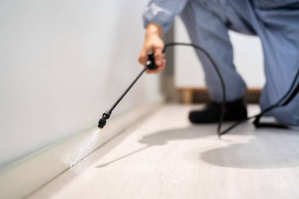 Licensed Fumigation Services service in Edmore, MI - Nex Pest Control