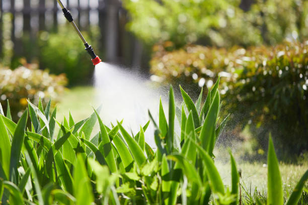 24/7 Emergency Fumigation Services experts in Edmore, MI