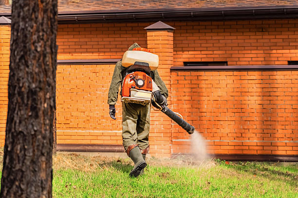 Top rated local Fumigation Services specialists in Edmore, MI